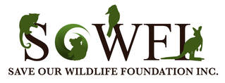 SAVE OUR WILDLIFE FOUNDATION INC. (SOWFI) 24/7 WILDLIFE RESCUE SERVICE